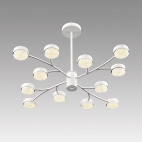 Люстра на штанге Lumion TORINA 8265/12 в Менделеевске - mendeleevsk.ok-mebel.com | фото 5