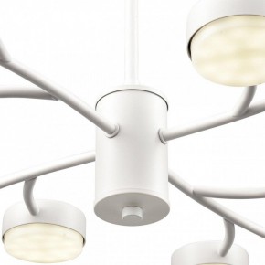 Люстра на штанге Lumion TORINA 8265/12 в Менделеевске - mendeleevsk.ok-mebel.com | фото 8