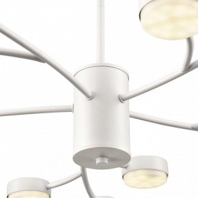Люстра на штанге Lumion TORINA 8265/15 в Менделеевске - mendeleevsk.ok-mebel.com | фото 8