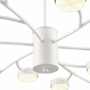 Люстра на штанге Lumion TORINA 8265/18 в Менделеевске - mendeleevsk.ok-mebel.com | фото 8