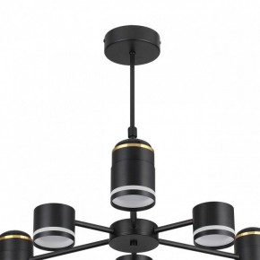 Люстра на штанге Lumion Virsava 8234/6C в Менделеевске - mendeleevsk.ok-mebel.com | фото 5