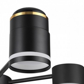 Люстра на штанге Lumion Virsava 8234/6C в Менделеевске - mendeleevsk.ok-mebel.com | фото 8