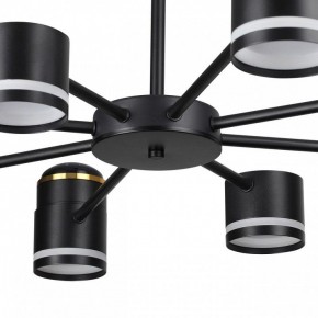 Люстра на штанге Lumion Virsava 8234/8C в Менделеевске - mendeleevsk.ok-mebel.com | фото 10
