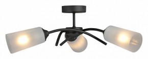 Люстра на штанге Vitaluce V2850 V2850-1/3PL в Менделеевске - mendeleevsk.ok-mebel.com | фото 3