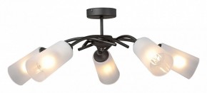 Люстра на штанге Vitaluce V2850 V2850-1/5PL в Менделеевске - mendeleevsk.ok-mebel.com | фото
