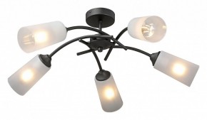 Люстра на штанге Vitaluce V2850 V2850-1/5PL в Менделеевске - mendeleevsk.ok-mebel.com | фото 2