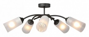Люстра на штанге Vitaluce V2850 V2850-1/5PL в Менделеевске - mendeleevsk.ok-mebel.com | фото 3