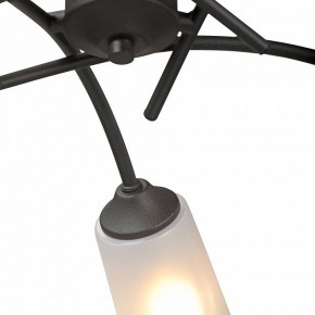 Люстра на штанге Vitaluce V2850 V2850-1/5PL в Менделеевске - mendeleevsk.ok-mebel.com | фото 6