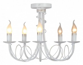 Люстра на штанге Vitaluce V3035 V3035-0/5PL в Менделеевске - mendeleevsk.ok-mebel.com | фото 2