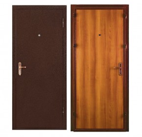 Металлическая дверь СПЕЦ ПРО (МЕТАЛЛ-ПАНЕЛЬ) 2060*860/ЛЕВАЯ в Менделеевске - mendeleevsk.ok-mebel.com | фото