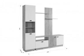 МОДИ Гостиная (модульная) белое дерево в Менделеевске - mendeleevsk.ok-mebel.com | фото 2