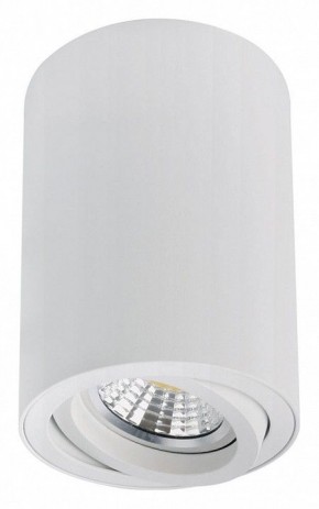 Накладной светильник Arte Lamp Sentry A1566PL-1WH в Менделеевске - mendeleevsk.ok-mebel.com | фото