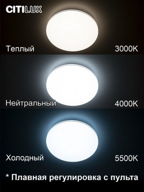 Накладной светильник Citilux Симпла CL714330G в Менделеевске - mendeleevsk.ok-mebel.com | фото 4