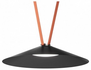 Накладной светильник Denkirs Belty Flow DK5568-BK в Менделеевске - mendeleevsk.ok-mebel.com | фото 2