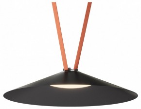 Накладной светильник Denkirs Belty Flow DK5569-BK в Менделеевске - mendeleevsk.ok-mebel.com | фото 2