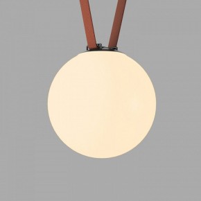 Накладной светильник Denkirs Belty Orb DK5555-BK в Менделеевске - mendeleevsk.ok-mebel.com | фото 2