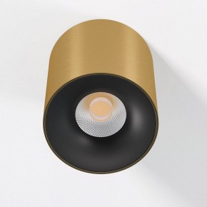 Накладной светильник Elektrostandard Primo 25116/LED в Менделеевске - mendeleevsk.ok-mebel.com | фото