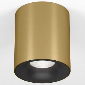 Накладной светильник Elektrostandard Primo 25116/LED в Менделеевске - mendeleevsk.ok-mebel.com | фото 2