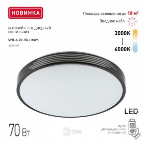 Накладной светильник Эра Классик SPB-6-70-RC Liburn в Менделеевске - mendeleevsk.ok-mebel.com | фото 10