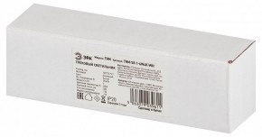 Накладной светильник Эра  TRM-S5-1-6W4K-WH в Менделеевске - mendeleevsk.ok-mebel.com | фото 6