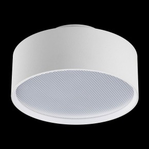 Накладной светильник Lightstar Acuto 215946 в Менделеевске - mendeleevsk.ok-mebel.com | фото 4