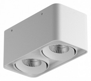 Накладной светильник Lightstar Monocco 052126-IP65 в Менделеевске - mendeleevsk.ok-mebel.com | фото