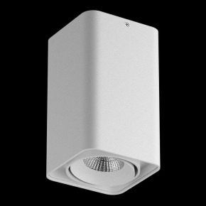 Накладной светильник Lightstar Monocco 052136-IP65 в Менделеевске - mendeleevsk.ok-mebel.com | фото 2