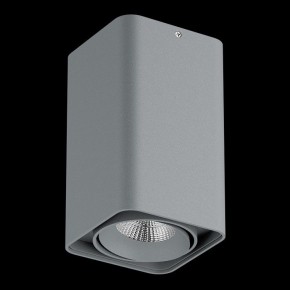 Накладной светильник Lightstar Monocco 052139-IP65 в Менделеевске - mendeleevsk.ok-mebel.com | фото 2