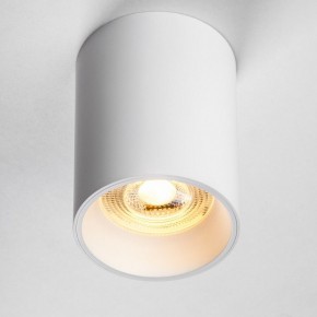Накладной светильник Lightstar Rullo 213436 в Менделеевске - mendeleevsk.ok-mebel.com | фото 2