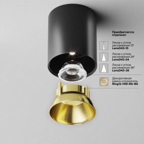 Накладной светильник Maytoni Alfa LED C064CL-12W4K-RD-B в Менделеевске - mendeleevsk.ok-mebel.com | фото 3