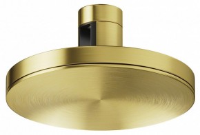 Накладной светильник Maytoni Plato TR152-1-7W4K-BS в Менделеевске - mendeleevsk.ok-mebel.com | фото