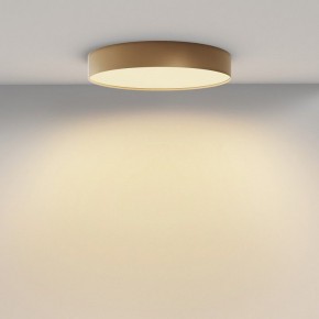 Накладной светильник Maytoni Zon C032CL-45W2.7K-RD-MG в Менделеевске - mendeleevsk.ok-mebel.com | фото 4