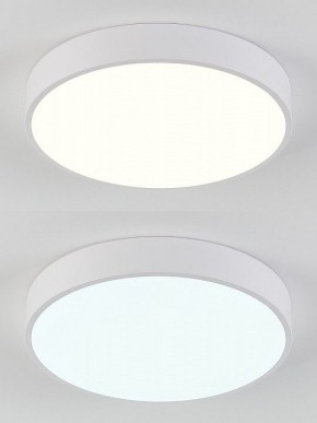 Накладной светильник Natali Kovaltseva  LED LAMPS 81111/5C в Менделеевске - mendeleevsk.ok-mebel.com | фото 4