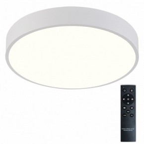 Накладной светильник Natali Kovaltseva  LED LAMPS 81112/5C в Менделеевске - mendeleevsk.ok-mebel.com | фото 2