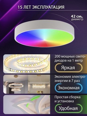 Накладной светильник Natali Kovaltseva MODERN LED LAMPS 81105/1C в Менделеевске - mendeleevsk.ok-mebel.com | фото 6