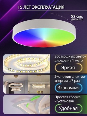 Накладной светильник Natali Kovaltseva MODERN LED LAMPS 81105/2C в Менделеевске - mendeleevsk.ok-mebel.com | фото 6