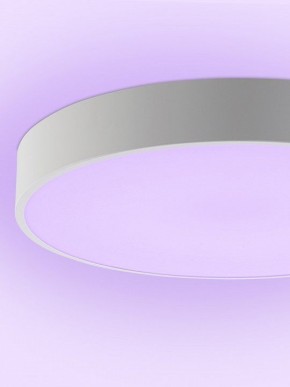 Накладной светильник Natali Kovaltseva MODERN LED LAMPS 81105/2C в Менделеевске - mendeleevsk.ok-mebel.com | фото 9