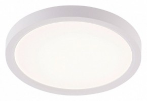 Накладной светильник Natali Kovaltseva PLAIN LED LAMPS 81113/1C в Менделеевске - mendeleevsk.ok-mebel.com | фото