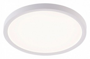 Накладной светильник Natali Kovaltseva PLAIN LED LAMPS 81113/2C в Менделеевске - mendeleevsk.ok-mebel.com | фото