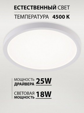 Накладной светильник Natali Kovaltseva PLAIN LED LAMPS 81113/2C в Менделеевске - mendeleevsk.ok-mebel.com | фото 3
