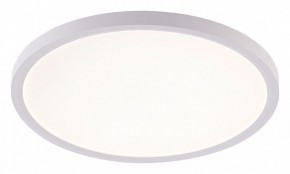 Накладной светильник Natali Kovaltseva PLAIN LED LAMPS 81113/3C в Менделеевске - mendeleevsk.ok-mebel.com | фото