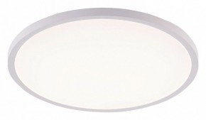 Накладной светильник Natali Kovaltseva PLAIN LED LAMPS 81113/5C в Менделеевске - mendeleevsk.ok-mebel.com | фото