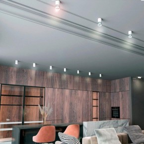 Накладной светильник Novotech Elina 370730 в Менделеевске - mendeleevsk.ok-mebel.com | фото 3
