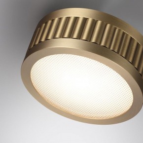 Накладной светильник Odeon Light Manchester 7013/7CL в Менделеевске - mendeleevsk.ok-mebel.com | фото 5