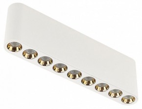 Накладной светильник Odeon Light Small 7091/21CL в Менделеевске - mendeleevsk.ok-mebel.com | фото