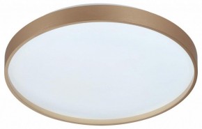 Накладной светильник Sonex Gaby 7783/DL в Менделеевске - mendeleevsk.ok-mebel.com | фото 4