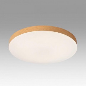 Накладной светильник Sonex Gamma 7761/24L в Менделеевске - mendeleevsk.ok-mebel.com | фото 3