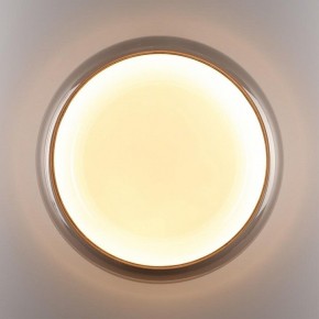 Накладной светильник Sonex PORTMAN 7777/DLN в Менделеевске - mendeleevsk.ok-mebel.com | фото 6