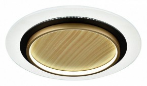 Накладной светильник Sonex Sunny 7731/80L в Менделеевске - mendeleevsk.ok-mebel.com | фото