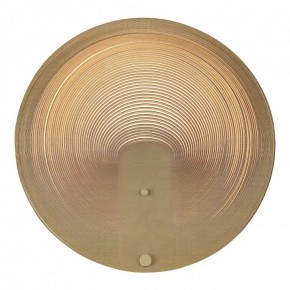 Накладной светильник ST-Luce Fossil SL6900.501.16 в Менделеевске - mendeleevsk.ok-mebel.com | фото 2
